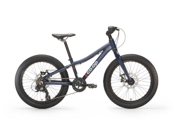 Co-op 20 inch blue bike